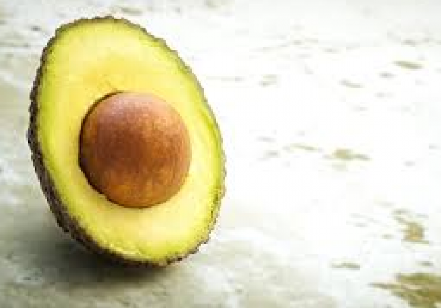 7.- aguacate