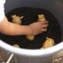 Cómo cultivar patatas en un cubo