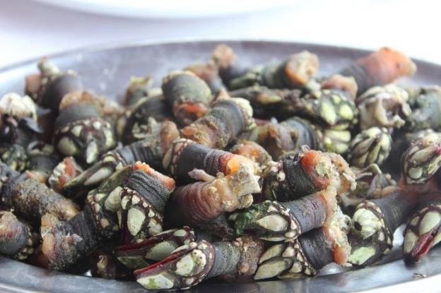 percebes