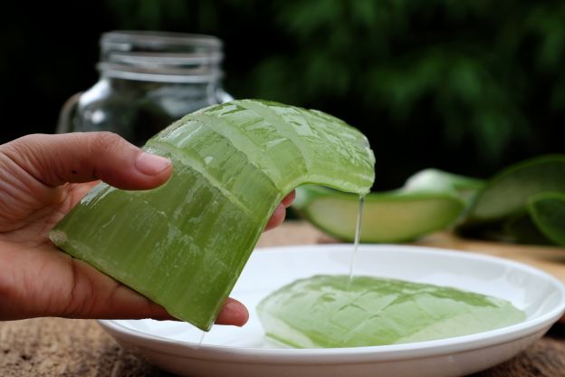 50 propiedades sorprendentes del aloe vera