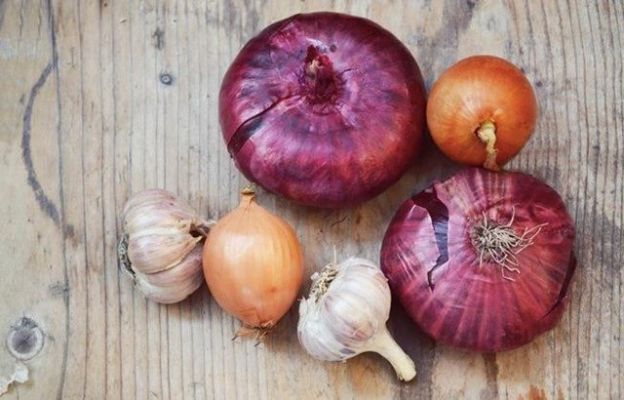 ajo y cebolla