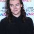 harry styles