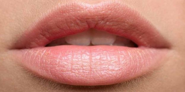 Labios con hendidura más redondeada