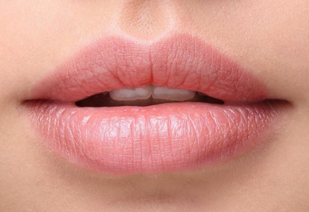 Labios con hendidura superior muy marcada