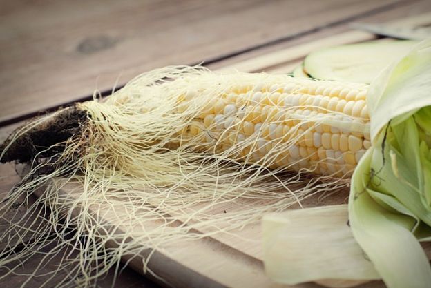 9 beneficios de los cabellos de elote que seguro no conocías