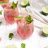 Mojito de sandía
