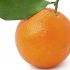 La naranja activa el sistema nervioso y cerebral: ¡Verdad!