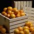 El consumo permanente de naranja reduce la posibilidad de padecer cáncer: ¡Verdad!