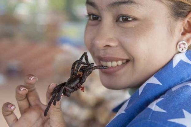 Tarántula crujiente (Camboya)