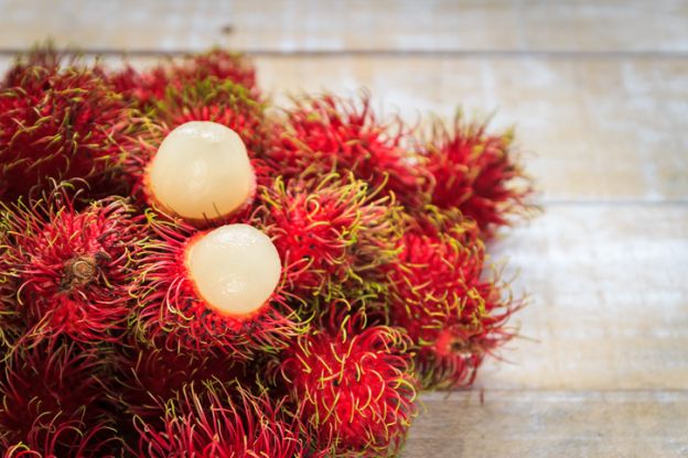 RAMBUTÁN