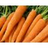 Zanahorias nuevas