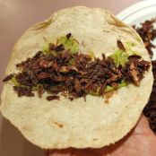 Taco de Chapulines