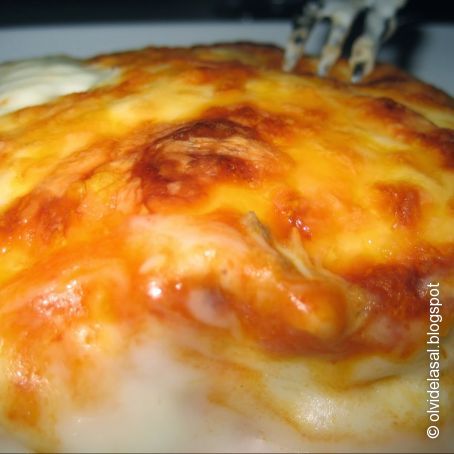 Canelones de carne