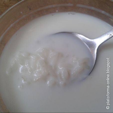 Arroz con leche
