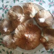 Tallarines con níscalos - Paso 1