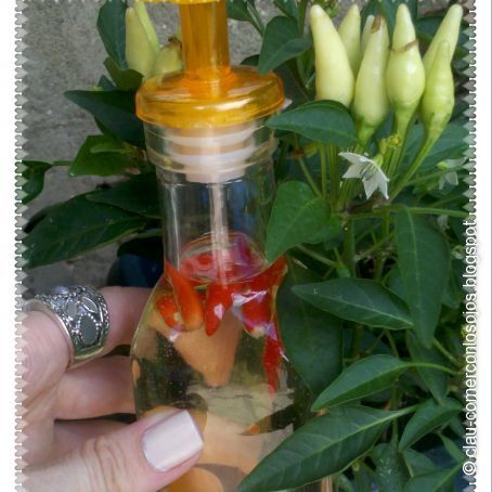 Aceite sabor ajillos