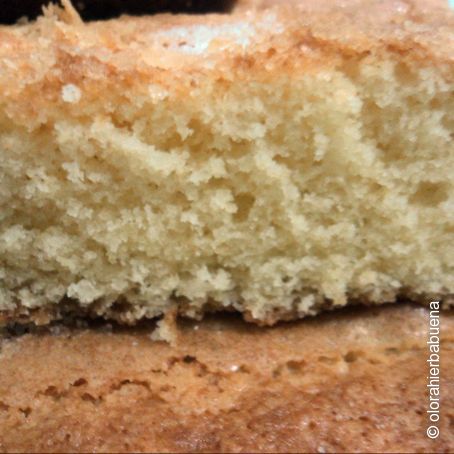 Una bica en compañía