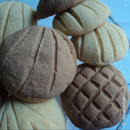 Conchas mexicanas