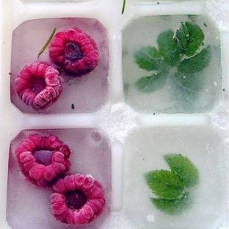 Cubitos de hielo con fruta