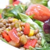 Ensalada de lentejas de la Armiña con acompañamientos
