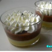 Vasitos con flan de vainilla y chocolate