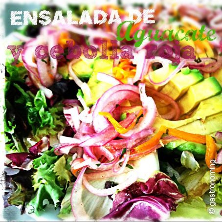 Ensalada de aguacate y cebolla roja