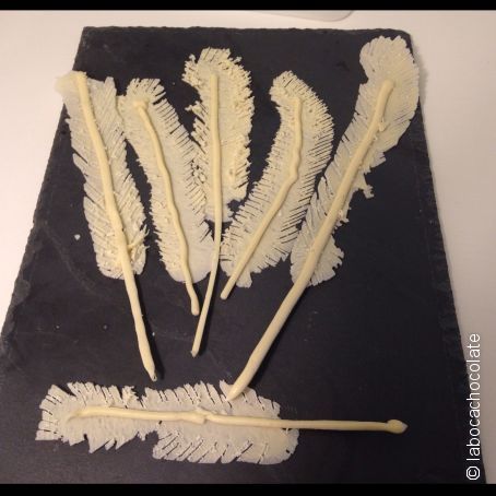 Plumas de chocolate blanco