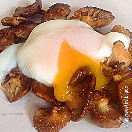 Huevo cocido a baja temperatura con setas de cardo