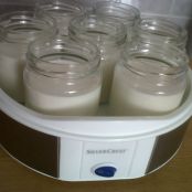 Yogures caseros en yogurtera