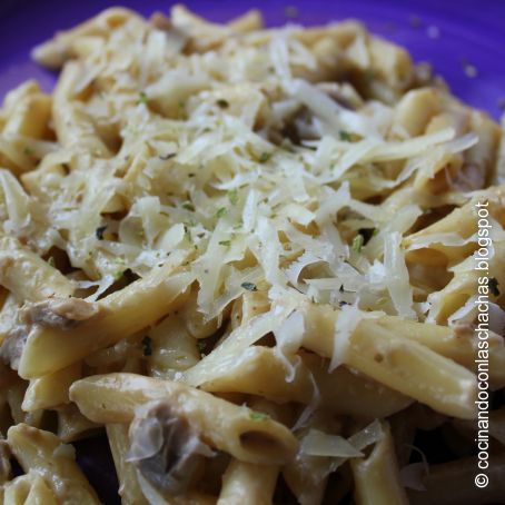 Penne rigate en salsa de setas y queso manchego