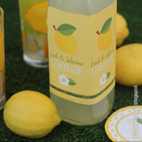 LIMONADA CASERA 100%