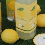 LIMONADA CASERA 100%