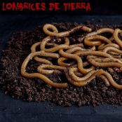 Lombrices de tierra