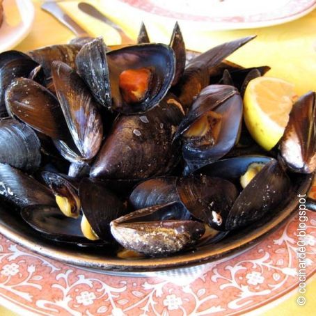 Mejillones al vapor (o clochinas)