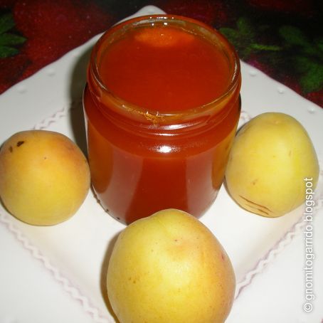 Mermelada de albaricoque en olla rápida