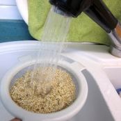 Pimientos verdes rellenos de quinoa con verduritas - Paso 2