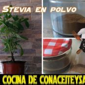 Como hacer Stevia Casera