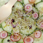 Ensalada de pepino, rábano, vinagreta a la japonesa y brotes