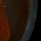 Tarta de chocolate con jengibre y plátano - Paso 4