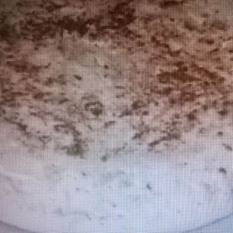 Tortilla de coliflor