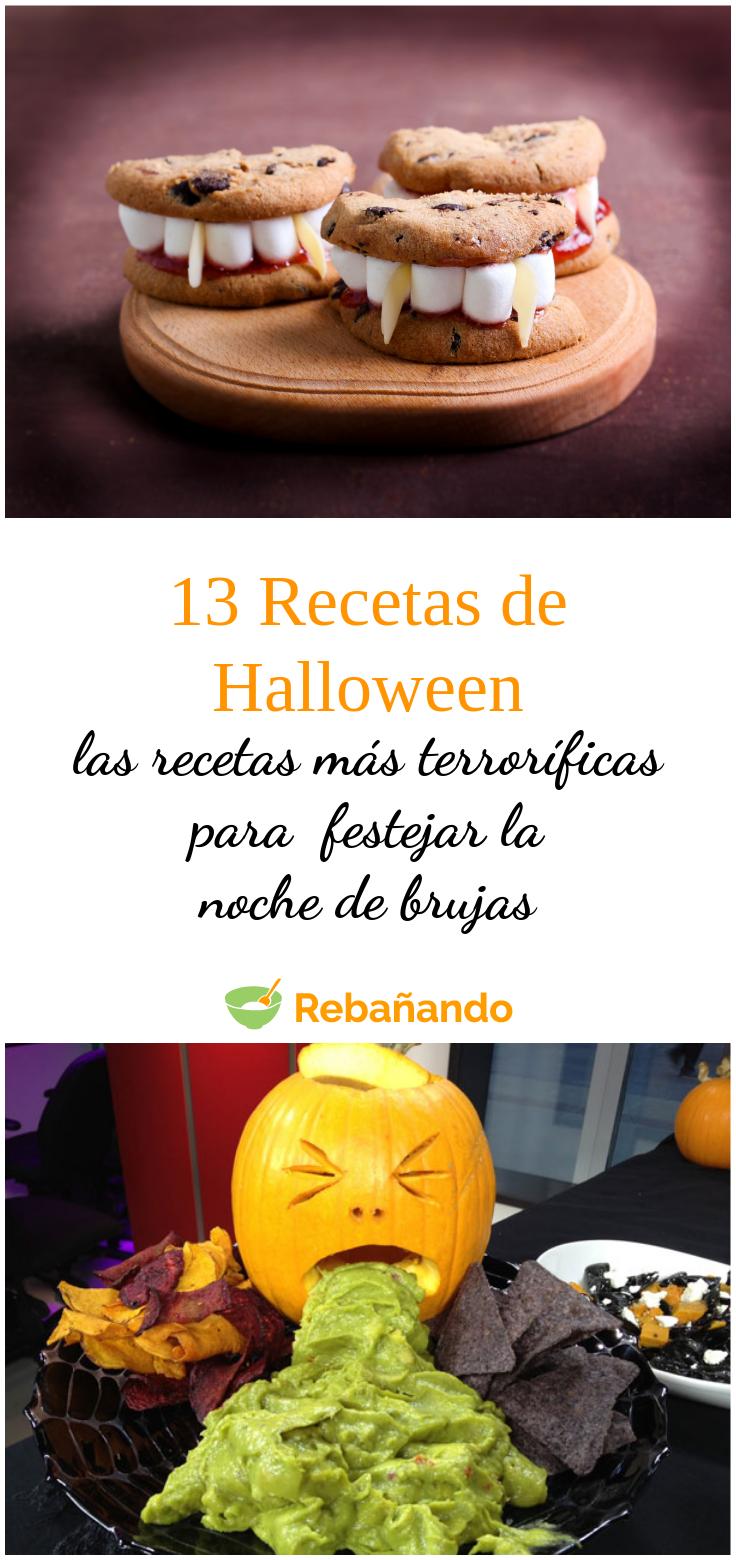 1001 recetas para mujer soltera terror