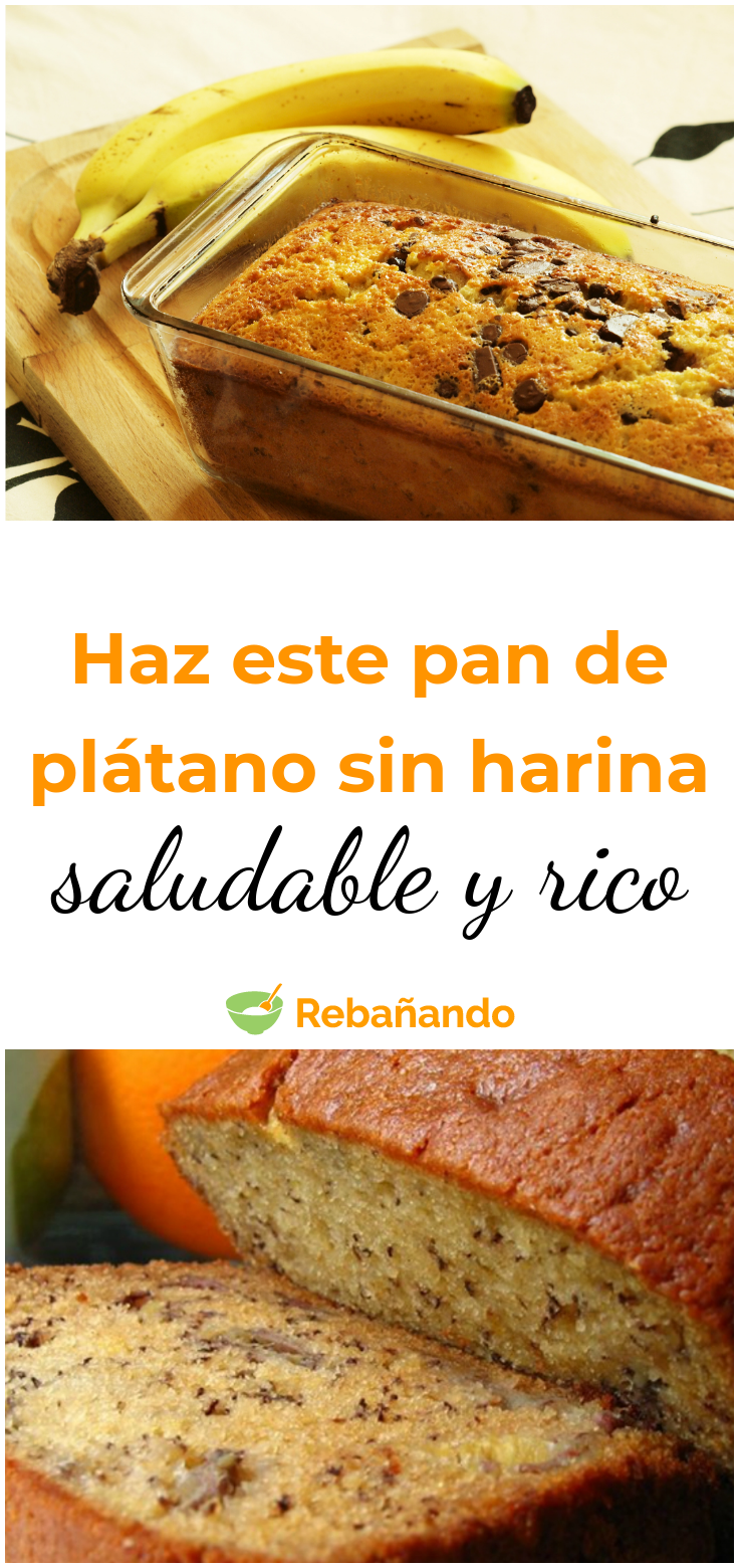 Raymond calvel el sabor de pan pdf gratis Raymond calvel el sabor de pan pdf gratis