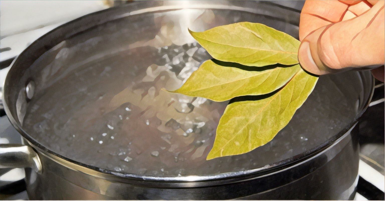 Pon una hoja de laurel en agua hirviendo, ¡lo que sucede después es