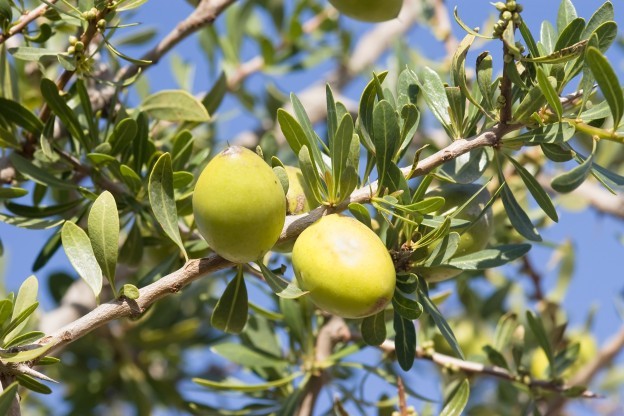 La dieta de 48 horas para ponerse en forma