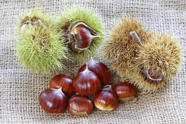 Un fruto olvidado que no debería faltar en tu dieta